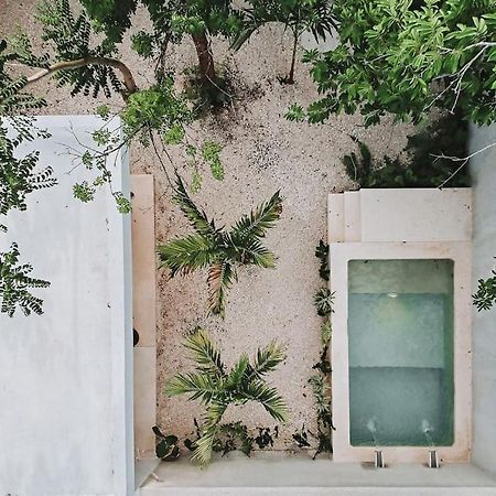 Villa La Sultana Amazing New House With Pool Valladolid  Exterior foto